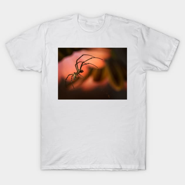 On The Prowl T-Shirt by Geoff79